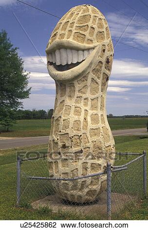 Stock Photo of smiling peanut, Plains, Georgia, The Smiling Peanut ...