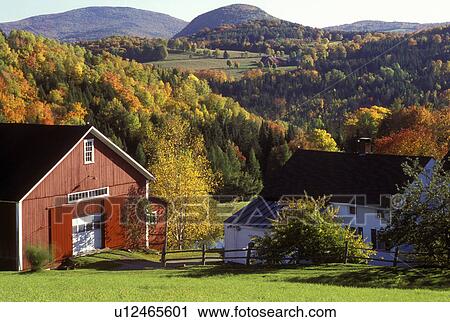 Vermont, barn, fall, foliage, View of scenic countryside in the fall in Peacham. Red barn and white house in foreground. View Large Photo Image Stock Image - Vermont, barn, fall, foliage, View of scenic countryside in the fall in Peacham. Red barn and white house in foreground.. Fotosearch
