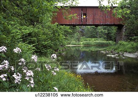 Stock Photography -  Vermont, covered bridge, Slaughter House Covered Bridge reflects in the water of Dog River in Northfield. A woman looks out over the water from the window of the bridge. Purple flowers in the foreground . Fotosearch