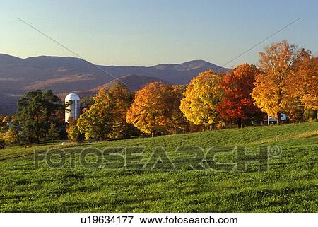 Stock Photo -  Vermont, fall, foliage, A scenic view of the mountains and a field with a row of colorful maple trees on Sparrow Farm in East Montpelier.. Fotosearch