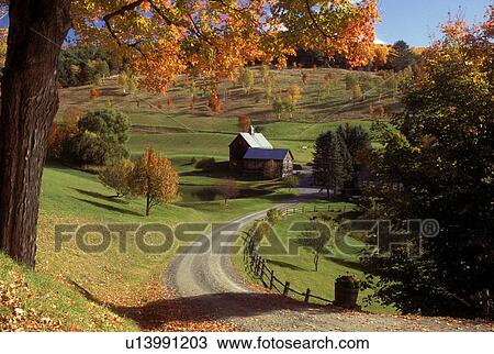 Vermont, fall, foliage, The scenic Sleepy Hollow Farm in the fall in Pomfret. View Large Photo Image Stock Image - Vermont, fall, foliage, The scenic Sleepy Hollow Farm in the fall in Pomfret.. Fotosearch