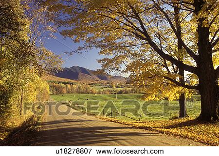 Stock Photo -  Vermont, fall, road, Fall foliage along country road in Pleasant Valley in Cambridge. Scenic view of Mt. Mansfield. . Fotosearch