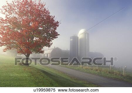 Vermont, Fog over country road in the fall at Sparrow Farm in East Montpelier. View Large Photo Image Stock Photography - Vermont, Fog over country road in the fall at Sparrow Farm in East Montpelier.. Fotosearch