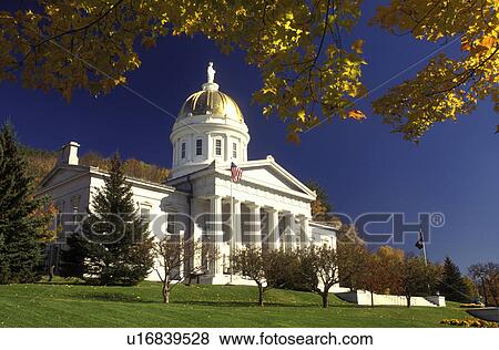Vermont, Montpelier, The majestic State House in Montpelier is framed with golden maple leaves View Large Photo Image Stock Photo - Vermont, Montpelier, The majestic State House in Montpelier is framed with golden maple leaves . Fotosearch