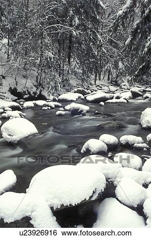 Stock Photograph -  Vermont, river, Ridley Brook flows through snow covered rocks on its way downstream in Duxbury., . Fotosearch