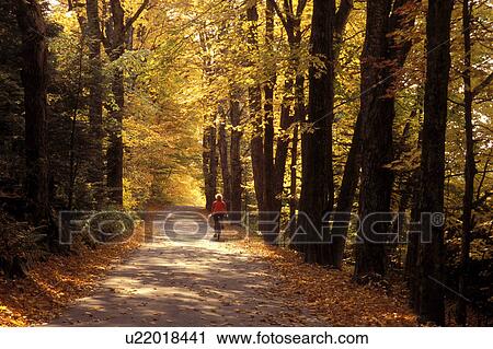 Stock Image -  Vermont, road, bicycle, Woman [biking, bicycling] down a country road in the fall in East Montpelier.. Fotosearch