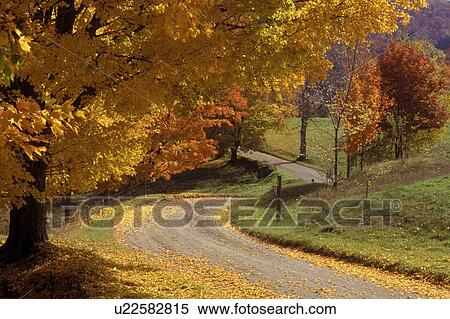 Vermont, road, Fall foliage along a country road in Pomfret View Large Photo Image Stock Photography - Vermont, road, Fall foliage along a country road in Pomfret . Fotosearch