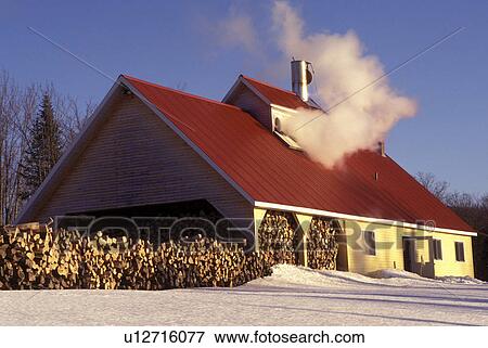 Vermont, sugarhouse, sugaring, Steam rises from Goodrich's Maple Sugarhouse in the early spring in Cabot. View Large Photo Image Stock Photo - Vermont, sugarhouse, sugaring, Steam rises from Goodrich's Maple Sugarhouse in the early spring in Cabot. . Fotosearch