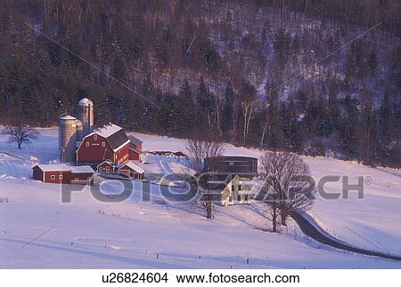 Picture -  Vermont, VT, Scenic view of Hillside Acres Farm with a red barn in the snow in winter in Barnet., . Fotosearch