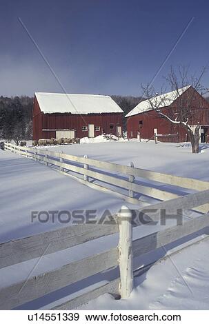 Vermont, VT, White fence, sheep, red barn on Otterman Farm in West Topsham in the winter. View Large Photo Image Stock Photo - Vermont, VT, White fence, sheep, red barn on Otterman Farm in West Topsham in the winter. . Fotosearch