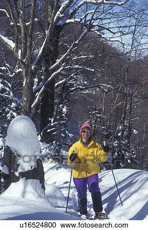 Vermont, VT, Woman snowshoeing on a snow covered trail in winter View Large Photo Image Stock Image - Vermont, VT, Woman snowshoeing on a snow covered trail in winter . Fotosearch