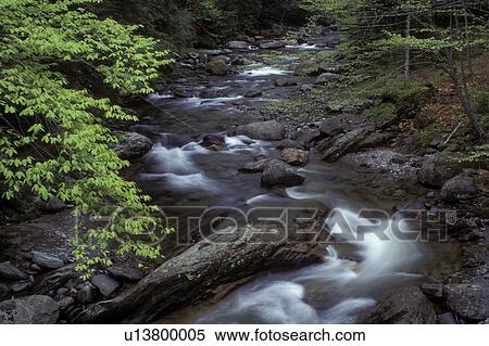Vermont, Water flows swiftly down Ridley Brook in Duxbury. View Large Photo Image Stock Photography - Vermont, Water flows swiftly down Ridley Brook in Duxbury. . Fotosearch