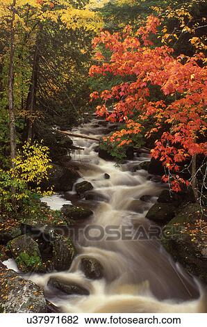 Vermont, Waterfall at Mollys Brook in fall foliage in Cabot. View Large Photo Image Stock Image - Vermont, Waterfall at Mollys Brook in fall foliage in Cabot. . Fotosearch