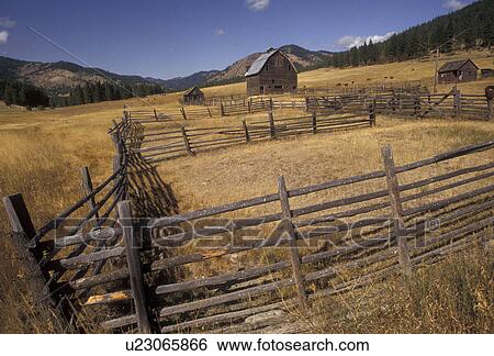 Washington, Farm with corral and barn in golden field near the town of Virden in the state of Washington. View Large Photo Image Stock Photograph - Washington, Farm with corral and barn in golden field near the town of Virden in the state of Washington. . Fotosearch