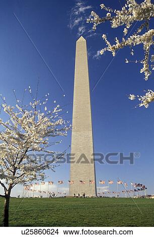 Washington Monument, Washington, DC, District of Columbia, capital city, Washington Monument in the spring in Washington, D. C. View Large Photo Image Picture - Washington Monument, Washington, DC, District of Columbia, capital city, Washington Monument in the spring in Washington, D. C.. Fotosearch