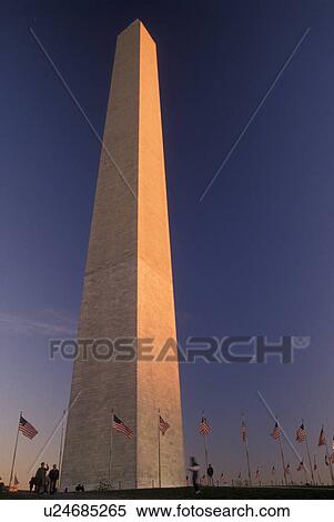 Stock Photography -  Washington Monument, Washington, DC, District of Columbia, The Washington Monument towers 555 feet above the U. S. flags surrounding it in Washington, D. C. the Capital City of the United States in the evening.. Fotosearch