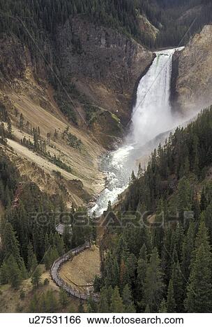 waterfall, Yellowstone National Park, Lower Falls, Wyoming, Yellowstone, The Yellowstone River cascades over Lower Falls as it makes its way through the canyon in Yellowstone National Park in the state of Wyoming. Uncle Tom's Trail can be seen descending View Large Photo Image Stock Photograph - waterfall, Yellowstone National Park, Lower Falls, Wyoming, Yellowstone, The Yellowstone River cascades over Lower Falls as it makes its way through the canyon in Yellowstone National Park in the state of Wyoming. Uncle Tom's Trail can be seen descending. Fotosearch