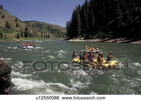 Stock Photo -  white water rafting, Snake River, Rocky Mountains, Wyoming, Groups of people white water rafting down the scenic Snake River in the state of Wyoming. . Fotosearch
