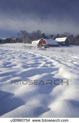 winter scene, farm, Vermont, A field in front of a red barn looks lumpy under the snow in winter in East Montpelier in Washington County in the state of Vermont. View Large Photo Image Picture - winter scene, farm, Vermont, A field in front of a red barn looks lumpy under the snow in winter in East Montpelier in Washington County in the state of Vermont.. Fotosearch