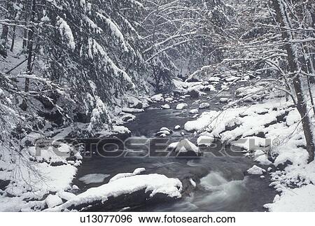 winter, Vermont, Picturesque winter scene of Ridley Brook in North Duxbury in Washington County in the state of Vermont View Large Photo Image Stock Photograph - winter, Vermont, Picturesque winter scene of Ridley Brook in North Duxbury in Washington County in the state of Vermont . Fotosearch