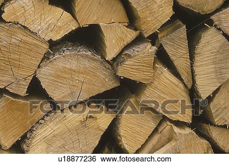 wood, logs, Close-up of a pile of cut logs View Large Photo Image Stock Photograph - wood, logs, Close-up of a pile of cut logs . Fotosearch