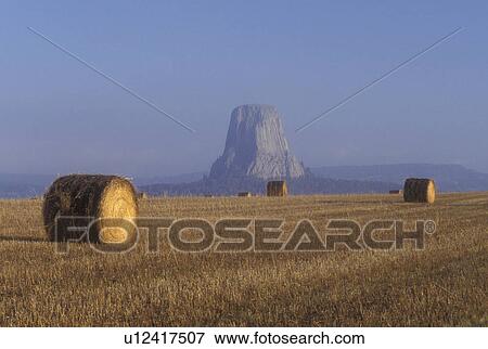 Wyoming, Hay bales in a field with Devils Tower National Monument in the distance. View Large Photo Image Stock Photo - Wyoming, Hay bales in a field with Devils Tower National Monument in the distance.. Fotosearch