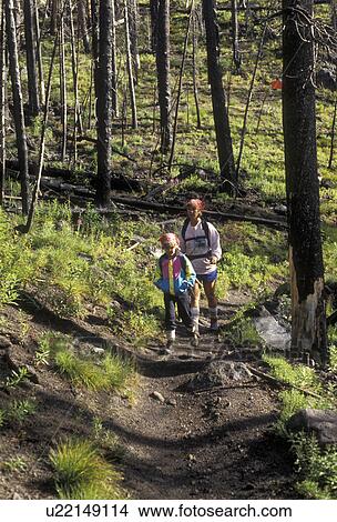 Yellowstone National Park, hiking, Wyoming, Yellowstone, Mother and daughter backpack through the forest that was destroyed by the fire of 1988 in Yellowstone National Park in the state of Wyoming. Lush green undergrowth is starting to grow amongst the d View Large Photo Image Picture - Yellowstone National Park, hiking, Wyoming, Yellowstone, Mother and daughter backpack through the forest that was destroyed by the fire of 1988 in Yellowstone National Park in the state of Wyoming. Lush green undergrowth is starting to grow amongst the d. Fotosearch