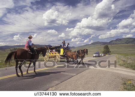 Yellowstone National Park, stage coach, Wyoming, Yellowstone, A yellow stage coach ride crosses the highway through the scenic countryside of Yellowstone National Park at Tower-Roosevelt in the state of Wyoming. View Large Photo Image Stock Image - Yellowstone National Park, stage coach, Wyoming, Yellowstone, A yellow stage coach ride crosses the highway through the scenic countryside of Yellowstone National Park at Tower-Roosevelt in the state of Wyoming. . Fotosearch