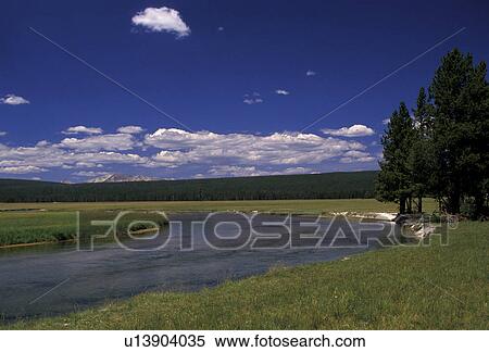 Yellowstone National Park, Wyoming, A scenic view of Lamar River flowing through the lush grasslands in Yellowstone National Park View Large Photo Image Stock Photography - Yellowstone National Park, Wyoming, A scenic view of Lamar River flowing through the lush grasslands in Yellowstone National Park . Fotosearch