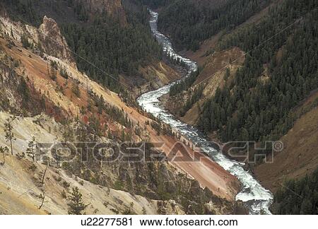 Stock Image -  Yellowstone National Park, Yellowstone River, Wyoming, Yellowstone, The Yellowstone River winds its way through the canyon floor in Yellowstone National Park in the state of Wyoming. . Fotosearch