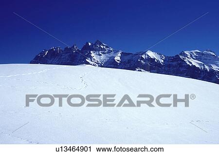 Stock Image -  Alps, Switzerland, Valais, Les Crosets, Portes du Soleil, Swiss Alps, Europe, Dents du Midi, Scenic view of the Dents du Midi from Portes du Soleil ski resort the largest international and linked ski area in the world in the Swiss Alps.. Fotosearch