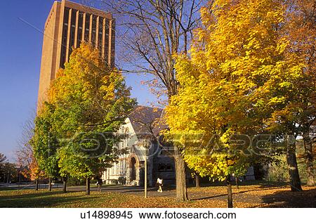 Amherst, college, university, MA, Massachusetts, University of Massachusetts Amherst campus in Amherst in the autumn. View Large Photo Image Stock Photography -  Amherst, college, university, MA, Massachusetts, University of Massachusetts Amherst campus in Amherst in the autumn.. Fotosearch