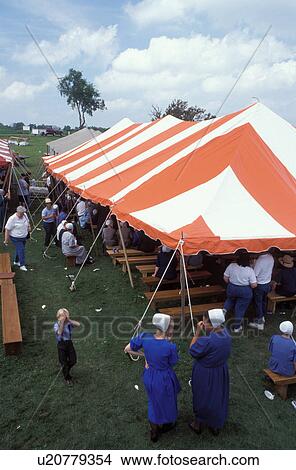 Picture -  Amish, auction, Holmes County, OH, Ohio, Auction at an Amish farm in Holmes County, Ohio.. Fotosearch