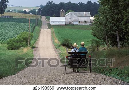 Amish, horse and buggy, Holmes County, OH, Ohio, Buggy ride on a country road in Holmes County, Ohio. View Large Photo Image Stock Photo - Amish, horse and buggy, Holmes County, OH, Ohio, Buggy ride on a country road in Holmes County, Ohio.. Fotosearch