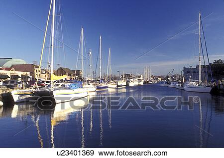 Annapolis, MD, Maryland, Boats moored at City Dock in Annapolis. View Large Photo Image Stock Photo - Annapolis, MD, Maryland, Boats moored at City Dock in Annapolis.. Fotosearch