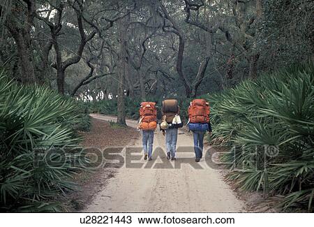backpacking, hiking, Cumberland Island, GA, Georgia, Backpackers carry their packs along Main Street on Cumberland Island National Seashore. View Large Photo Image Stock Image - backpacking, hiking, Cumberland Island, GA, Georgia, Backpackers carry their packs along Main Street on Cumberland Island National Seashore.. Fotosearch