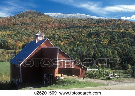 barn, fall, snow, Stowe, VT, Vermont, Scenic view of a red barn on a farm with a dusting of snow on the mountains surrounded by colorful fall foliage in autumn. View Large Photo Image Stock Photo - barn, fall, snow, Stowe, VT, Vermont, Scenic view of a red barn on a farm with a dusting of snow on the mountains surrounded by colorful fall foliage in autumn. . Fotosearch