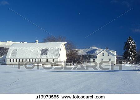 barn, farm, winter scene, snow, Mt. Mansfield, Vermont, A large white barn and farmhouse on a snow covered farm with Mount Mansfield in the distance under the moon against a clear blue sky in winter in Underhill in Chittenden County in the state of Vermo View Large Photo Image Stock Photography - barn, farm, winter scene, snow, Mt. Mansfield, Vermont, A large white barn and farmhouse on a snow covered farm with Mount Mansfield in the distance under the moon against a clear blue sky in winter in Underhill in Chittenden County in the state of Vermo. Fotosearch