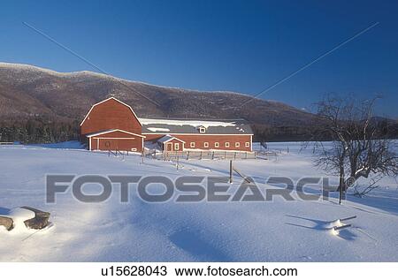 barn, mountains, red, winter scene, snow, Scenic view of a red barn on a farm on the snow covered on a sunny day under a clear blue sky in Waterbury in Washington County in the state of Vermont. View Large Photo Image Stock Image -  barn, mountains, red, winter scene, snow, Scenic view of a red barn on a farm on the snow covered on a sunny day under a clear blue sky in Waterbury in Washington County in the state of Vermont.. Fotosearch