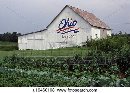 barn, OH, Ohio, White barn painted red, white and blue for the Ohio Bicentennial 1803-2003 in Perry County, Ohio. View Large Photo Image Stock Photo - barn, OH, Ohio, White barn painted red, white and blue for the Ohio Bicentennial 1803-2003 in Perry County, Ohio.. Fotosearch