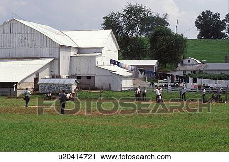 baseball, Amish, Holmes County, OH, Ohio, Amish men playing baseball on an Amish farm in Holmes County, Ohio. View Large Photo Image Stock Image - baseball, Amish, Holmes County, OH, Ohio, Amish men playing baseball on an Amish farm in Holmes County, Ohio.. Fotosearch