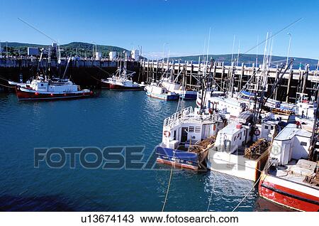 Stock Image -  Bay of Fundy, Nova Scotia, NS, Canada, Scallop fleets docked in the harbor at Annapolis Basin in Digby on the Bay of Fundy on the Atlantic Ocean. . Fotosearch