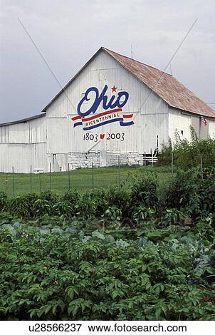 bicentennial, barn, OH, Ohio, White barn painted red, white and blue for the Ohio Bicentennial 1803-2003 in Perry County, Ohio. View Large Photo Image Stock Photo - bicentennial, barn, OH, Ohio, White barn painted red, white and blue for the Ohio Bicentennial 1803-2003 in Perry County, Ohio.. Fotosearch
