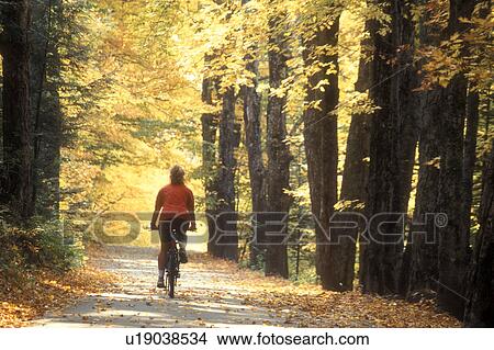 biking, woman, country road, fall, East Montpelier, VT, Vermont, Woman biking on a country road surrounded by colorful fall foliage in East Montpelier in the autumn. View Large Photo Image Picture - biking, woman, country road, fall, East Montpelier, VT, Vermont, Woman biking on a country road surrounded by colorful fall foliage in East Montpelier in the autumn.. Fotosearch