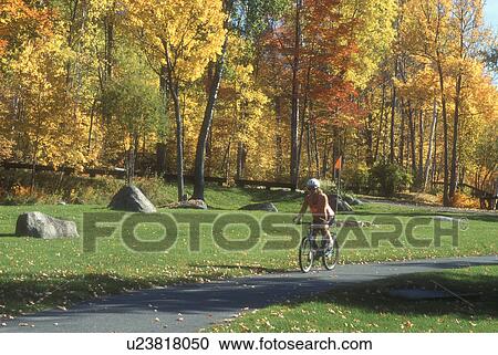 Stock Image -  biking, woman, fall, Groton State Forest, VT, Vermont, Woman biking alone in Groton State Forest in the autumn.. Fotosearch