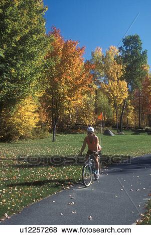 Stock Photo -  biking, woman, fall, Groton State Forest, VT, Vermont, Woman biking alone in Groton State Forest in the autumn.. Fotosearch