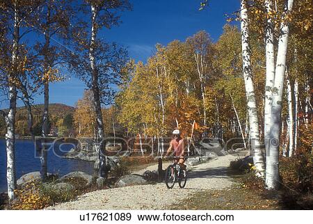 biking, woman, fall, Groton State Forest, VT, Vermont, Woman biking along Boulder Beach on Lake Groton in Groton State Forest in the autumn. View Large Photo Image Stock Photo - biking, woman, fall, Groton State Forest, VT, Vermont, Woman biking along Boulder Beach on Lake Groton in Groton State Forest in the autumn.. Fotosearch