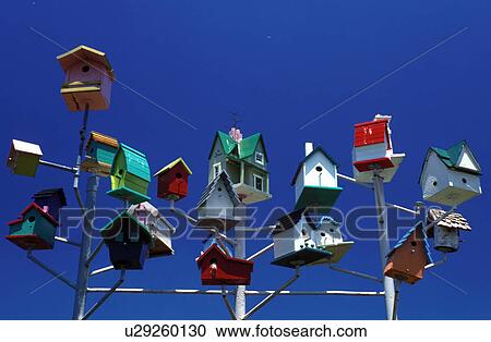 birdhouse, Carthage, MO, Missouri, Colorful birdhouses in Sparrowville at Red Oak II a ghost town.  View Large Photo Image Stock Image -  birdhouse, Carthage, MO, Missouri, Colorful birdhouses in Sparrowville at Red Oak II a ghost town. . Fotosearch