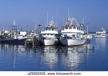 Stock Image -  boats, Plymouth, MA, Massachusetts, View of Captain John Whale Watching boats docked in Plymouth Harbor in Plymouth. Fotosearch