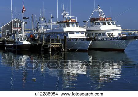 Picture -  boats, Plymouth, Massachusetts, MA, View of Captain John Whale Watching boats docked in Plymouth Harbor in Plymouth. Fotosearch